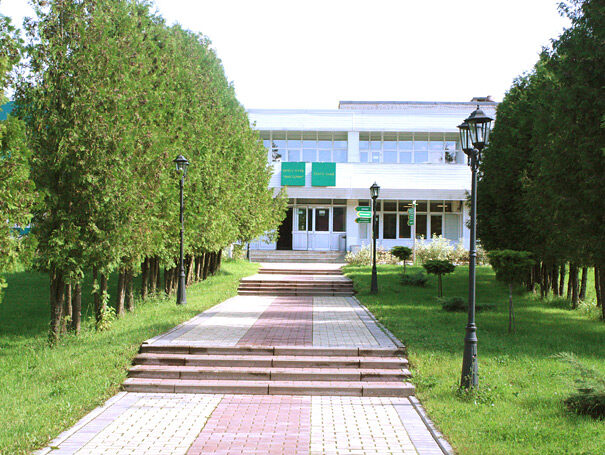aaa