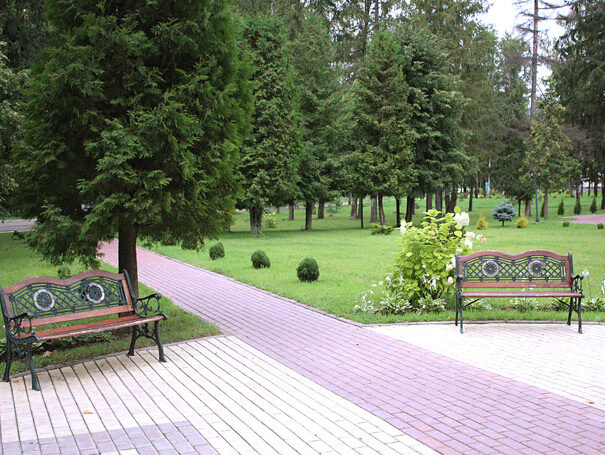 aaa