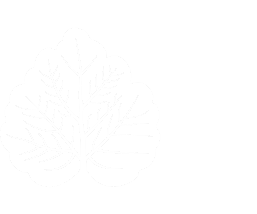 Пансионат Бекасово